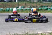 20110501_ales_agnus (2655)